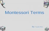Montessori terms