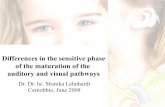 Differences in the sensitive phase of the maturation of the auditory and visual pathways-eng 2008-06