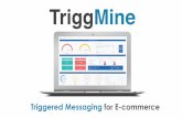 TriggMine PRO: Triggered Messaging Solution for E-commerce