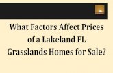 What Factors Affect Prices of a Lakeland FL Grasslands Homes for Sale?
