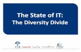 The State of IT Diversity Divide