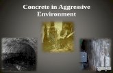 Concrete in Aggressive Environment