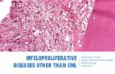 Myeloproliferative Disorders Other Than CML