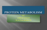 Protein metabolism by abrar khan