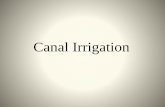 Canal irrigation