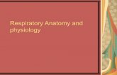 Repiratory anatomy and physiology
