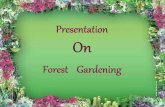 Forest gardening