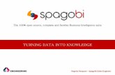 Webinar: SpagoBI 5 - Self-build your interactive cockpits, get instant insights into your data