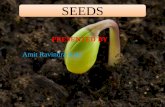 Seeds industry and Seeds industry scenario in India