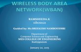 wireless body area networks(WBAN)