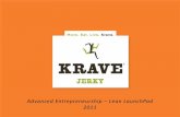 2011/01/01 - Krave - Lessons learned