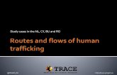 Routes and flows of human trafficking