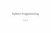 Python programming lab8