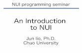 An introduction to NUI