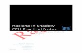 Hacking in shadows By - Raghav Bisht