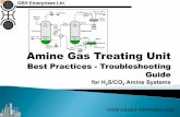 Amine Gas Treating Unit  - Best Practices - Troubleshooting Guide