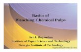Basics of pulp bleaching
