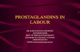 1. prostaglandins in labour dr rabi