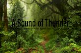 A Sound of Thunder Presentation - Reuben, Daniel F, Jamie and Alex dB