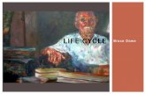 Analysis of "Life Cycle" by Bruce Dawe