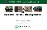 Research on Carbon Sinks in Bamboo Forest Management