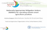 Nationally Appropriate Mitigation Actions for upscaling climate‐smart agriculture practices