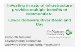 Investing in Natural Infrastructure Provides Multiple Benefits to Communities