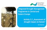 Fourth IDMP CEE workshop: Assessment of drought impact on forests by Galia Bardarska
