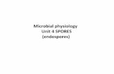 B.Sc Micro II Microbial Physiology Unit 4 Spores