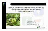 MLN Workshop: Role of vectors and their host plants in maize lethal necrosis epidemiology -- J Nyasani et al