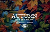 Autumn Colors in the U.P.