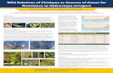 Wild relatives of chickpea as sources of genes for resistance to Helicoverpa armigera