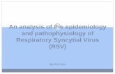 Analysis in to the Epidemiology and Pathophysiology of Respiratory Syncytial Virus - Piril Erel