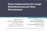 Data Compression for Multi-dimentional Data Warehouses