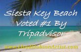 SIesta Key Beach Voted #1 By Tripadvisor