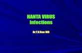 Hanta virus-1217124829483391-9