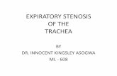 Expiratory stenosis of the trachea by dr. innocent kingsley asogwa