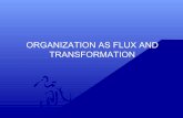 Organization as flux and transformation