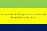 Pentavalent vaccine introduction in immunization programme in India