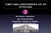 Role of tubal surgery in era of ivf