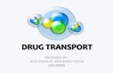 Drug transport
