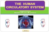 Integrated Science M2 The Human Circulatory System