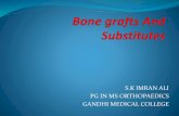 Bone grafts and substitutes