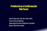 Proteinuria as Cardiovascular Risk Factor