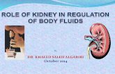Kideney & body fluids
