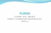 B.sc. (micro) i em unit 3.3 fungi