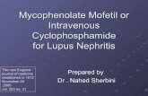 Mycophenolate mofetil or intravenous cyclophosphamide