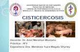 Cisticercosis mendoza   ppge ss