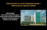 Interventions in Acute Ischaemic Stroke