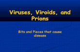 Viruses, viroids, and prions